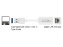 Delock Netzwerk-Adapter USB-A - RJ45 1Gbps, Weiss