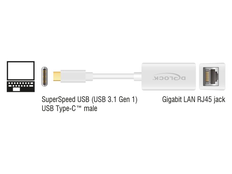 Delock Netzwerk-Adapter USB-C - RJ45 1Gbps, Weiss