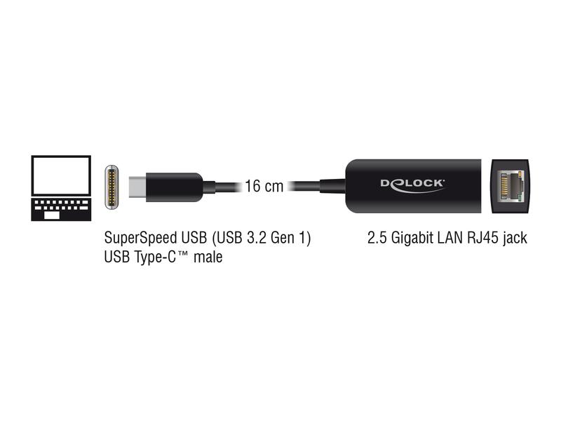 Delock Netzwerk-Adapter USB-C - RJ45 2,5Gbps schwarz, kompakt