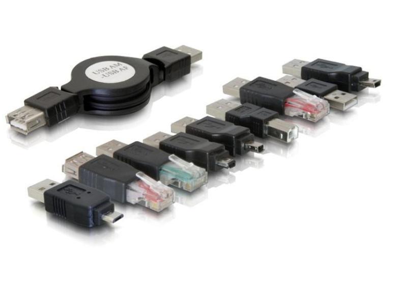 Delock USB 2.0 Adapter 10-teilig, inkl. Tasche