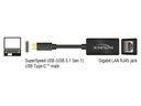 Delock Netzwerk-Adapter 1 Gbps USB Typ-C