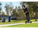 Razor Scooter Carbon Lux Scooter Schwarz 23L
