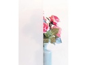 d-c-fix Fensterfolie Frost