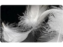DOR Kopfkissen Senecio low Bio 50 x 70 cm