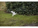 Esschert Design Gartenstecker Hundeklo Nein!