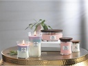 Woodwick Duftkerze Trilogy Calming Retreat Medium Jar