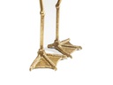 Kare Bilderrahmen Duck Feet  Horizontal, 13 x 18 cm