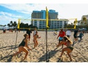 Crossnet Volleyballnetz Crossnet Schwarz/Gelb