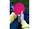 DONIC Schildkröt Tischtennisschläger Top Team 900