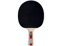 DONIC Schildkröt Tischtennisschläger Legends 900