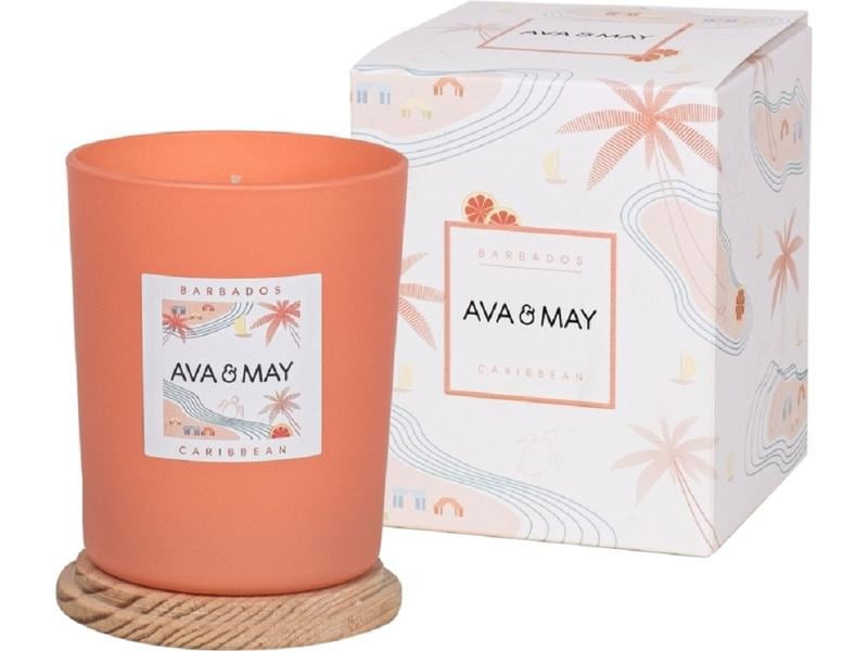 AVA &amp; MAY Duftkerze Barbados 490 g