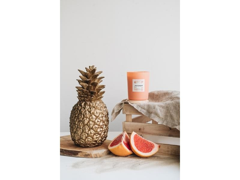 AVA &amp; MAY Duftkerze Barbados 490 g