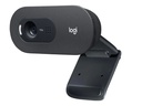 Logitech Webcam C505e HD Bulk