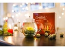 Creano Tee-Set 0.5 l, Transparent