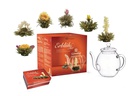 Creano Tee-Set 0.5 l, Transparent