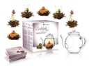 Creano Tee-Set 0.5 l, Transparent