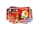 Thermopad multi Wärmepad Zehenwärmer 10er Pack