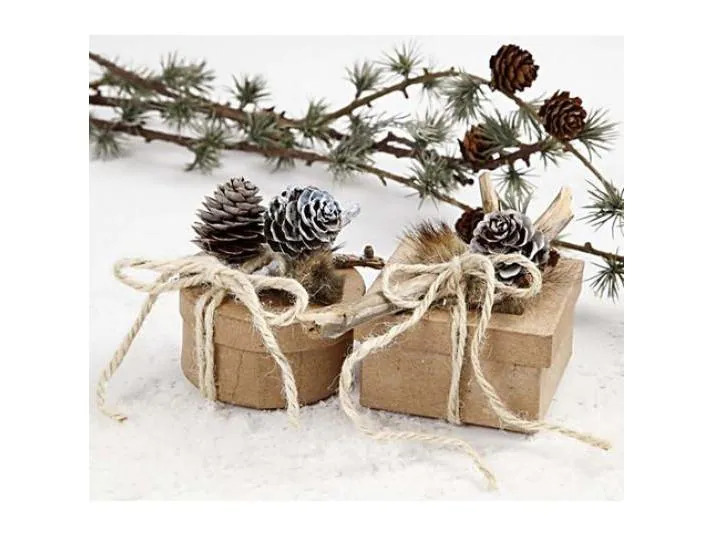 Creativ Company Weihnachtsdeko Kiefernzapfen, 40 mm