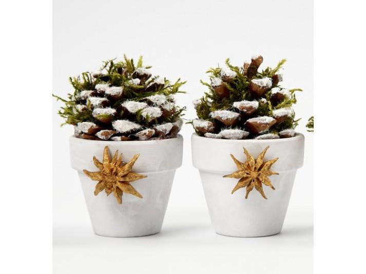 Creativ Company Weihnachtsdeko Kiefernzapfen, 40 mm