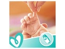Pampers Feuchttücher Sensitive Giga Pack