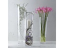Leonardo Vase 70 cm Transparent