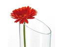 Leonardo Vase Dynamic 30 cm Transparent