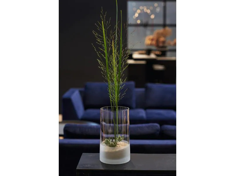 Leonardo Vase Novara 26 cm 2 Stück, Transparent