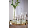 Leonardo Vase Ravenna 15 cm Transparent
