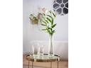Leonardo Vase Ravenna 15 cm Transparent
