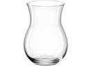 Leonardo Vasen-Set Casolare 18 cm 4 Stück, Transparent