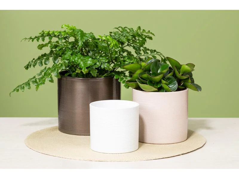 scheurich Blumentopf Beige Ø 32.2 cm