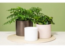 scheurich Blumentopf Beige Ø 32.2 cm
