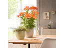 scheurich Blumentopf Grün Ø 23.7 cm