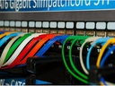 SLIM Slimpatchkabel  Cat 6, UTP, 0.15 m, Orange