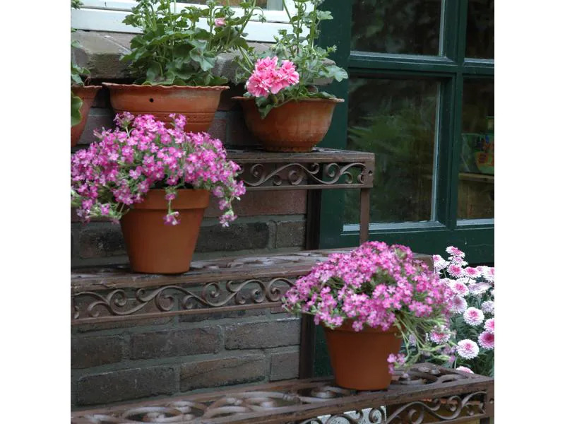 Esschert Design Blumentreppe aus Gusseisen, rechteckig