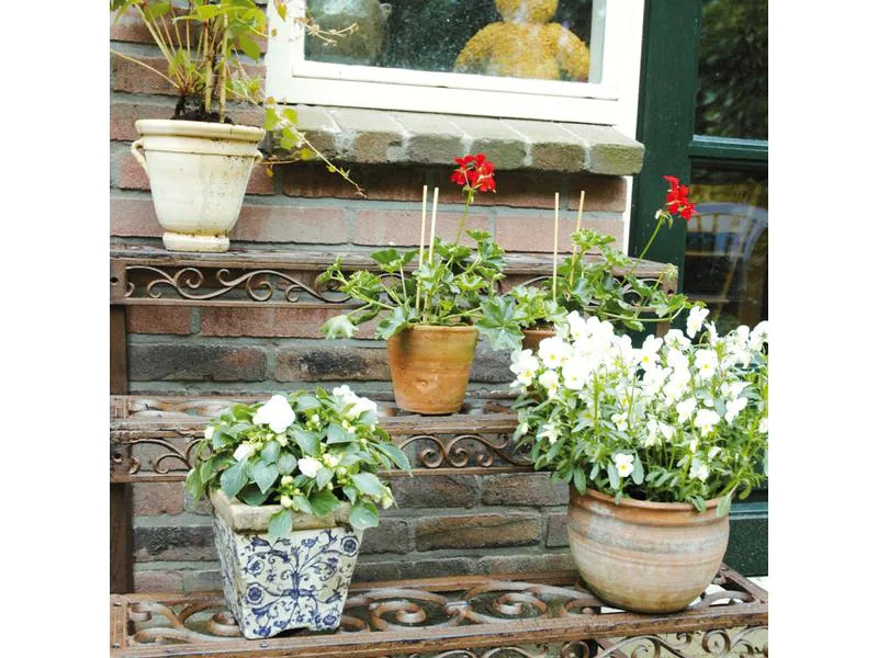 Esschert Design Blumentreppe aus Gusseisen, rechteckig