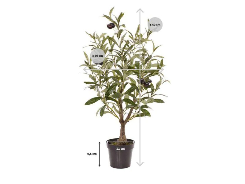 Botanic-Haus Kunstpflanze Olivenbaum, 60 cm