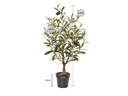 Botanic-Haus Kunstpflanze Olivenbaum, 60 cm
