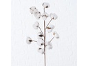 Boltze Kunstblume Baumwolle 68 cm