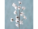 Boltze Kunstblume Baumwolle 68 cm