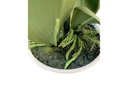 Botanic-Haus Kunstblume Phalenopsis 1 Rispe im Topf, Weiss