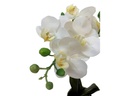 Botanic-Haus Kunstblume Phalenopsis 1 Rispe im Topf, Weiss