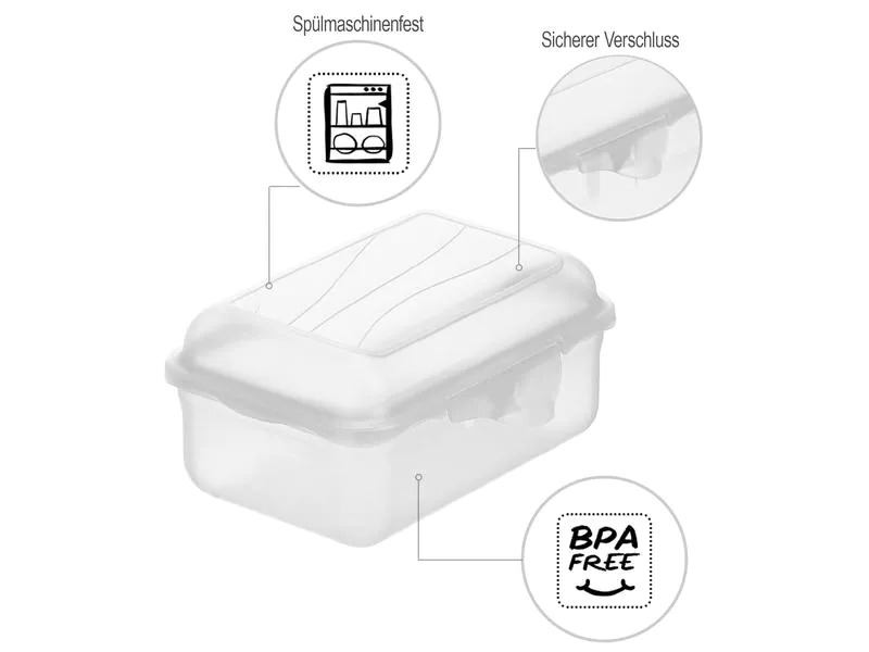 Rotho Lunchbox Fun Transparent