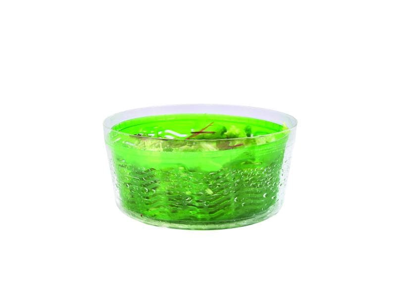 Zyliss Salatschleuder Swift Dry 20 cm, Grün