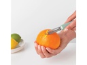 Brabantia Sparschäler TASTY+ plus Raspel, Jade Green