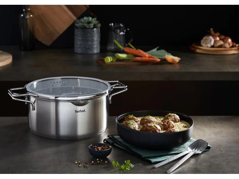 Tefal Kochtopf Nordica mit Deckel 20 cm