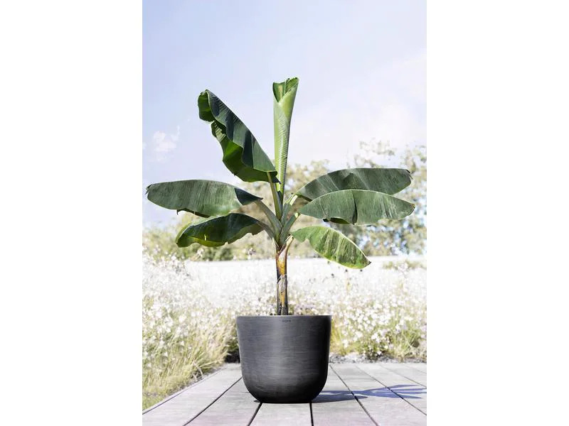 Ecopots Pflanzentopf Oslo 55 Dunkelgrau