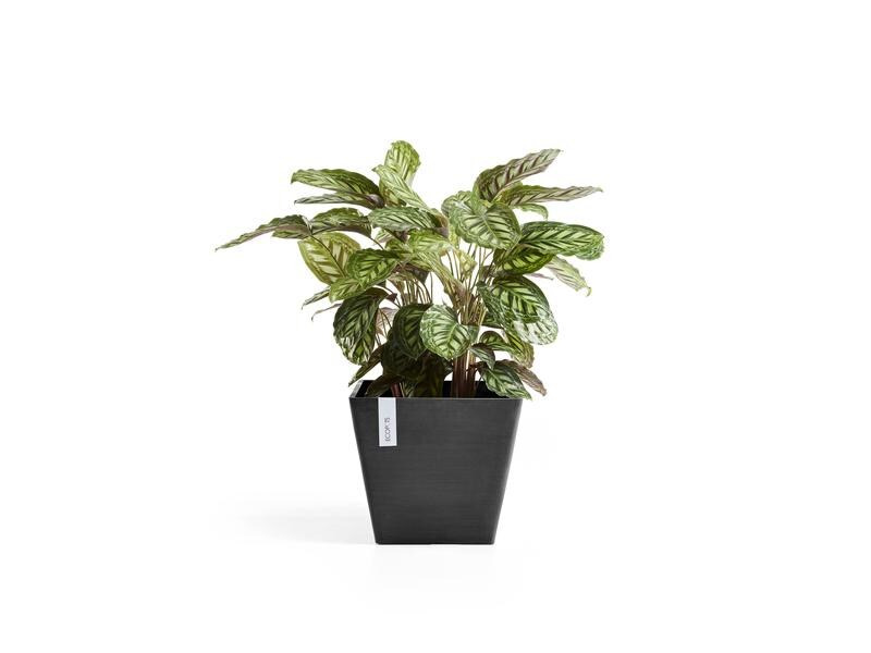 Ecopots Pflanzentopf Rotterdam 50 Dunkelgrau