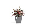 Ecopots Pflanzentopf Rotterdam 50 Grau