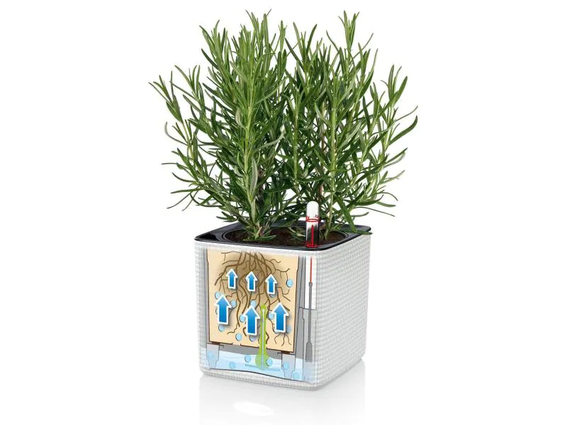 Lechuza Blumentopf Green Wall Home Kit CO Schwarz